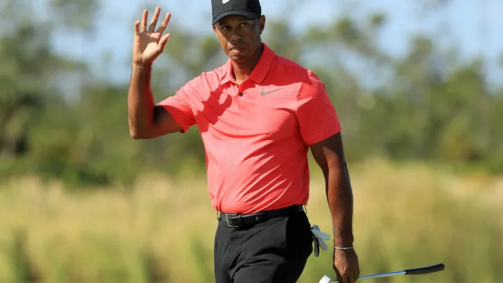tiger woods