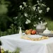Tafelkleed op gedekte tafel in mooie tuin
