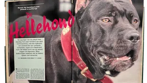 Week van Toen: Ah joh, hij doet niks! (1990)