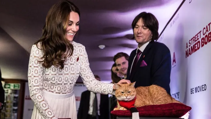 Zó klinkt Kate Middleton als zij tegen een kat praat