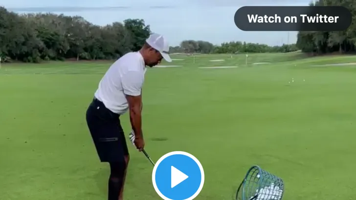 tiger woods