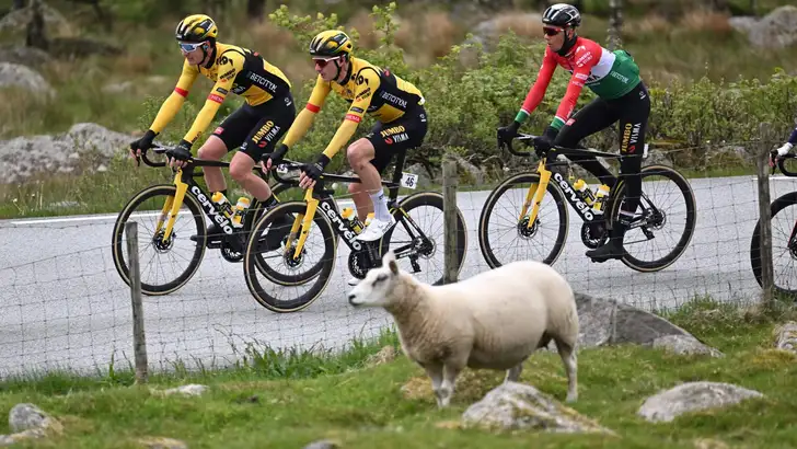 Tour of Norway 2023 stage-3