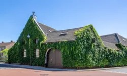De Leuf
