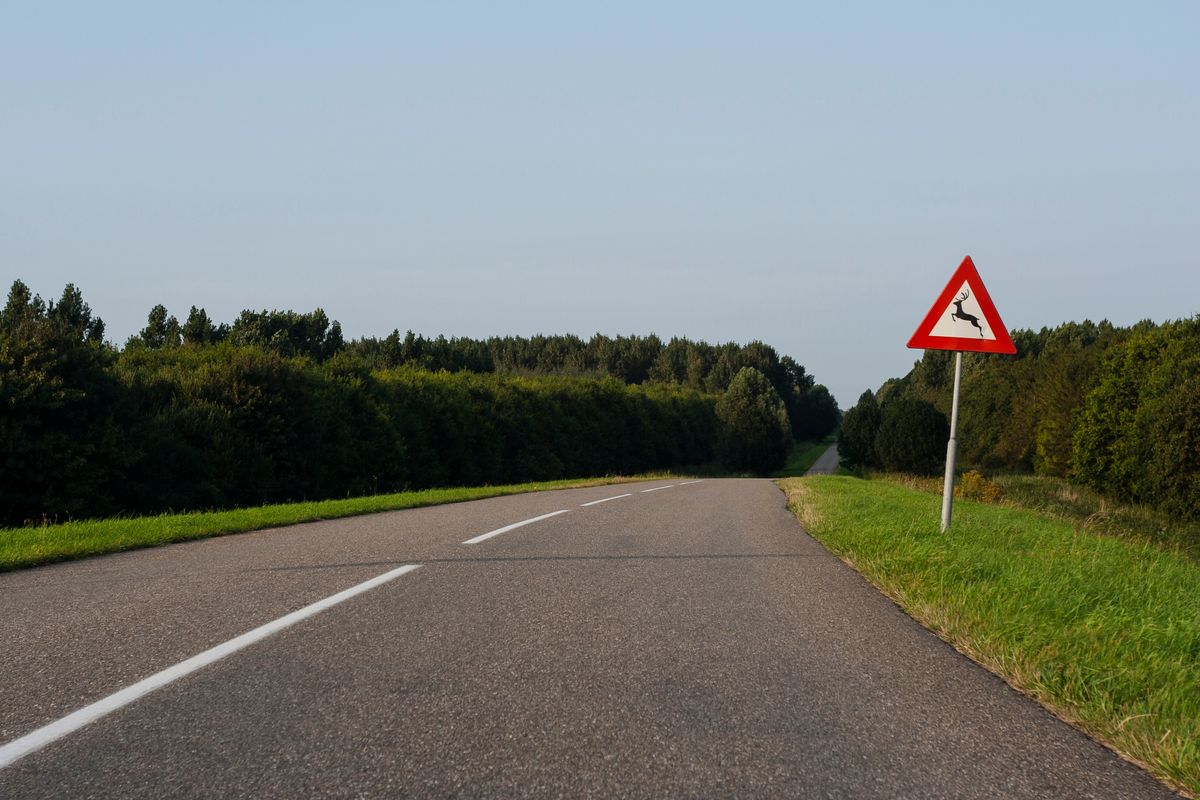 Experts pleiten voor extra alertheid: elk najaar worden bestuurders verrast door dit risico