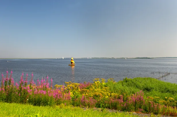 Lauwersmeer