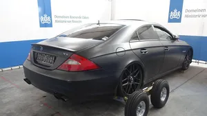 Licht gebruikte Mercedes CLS 55 AMG op te halen bij Domeinen