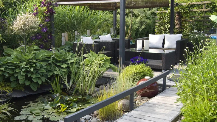 tuin vijver