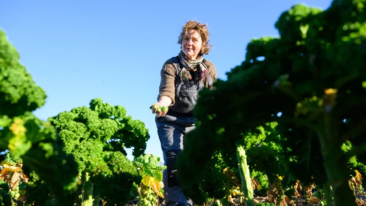 Haal alles uit je boerenkool: nieuw onderzoek toont aan hoe je voedingsstoffen wél opneemt