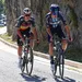 Bardet