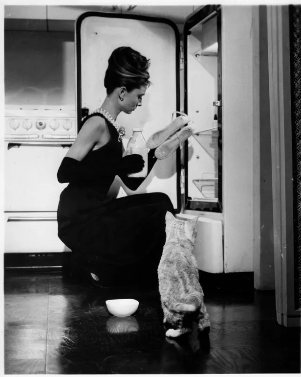 Audrey Hepburn