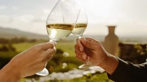 Couple toasting white wine in a vine yard
