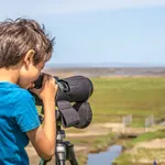 Waddenfestival