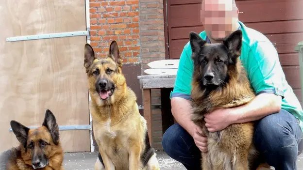 Voormalig Feyenoord-materiaalman (54) in België veroordeeld tot 30 jaar cel voor gruwelijke moord