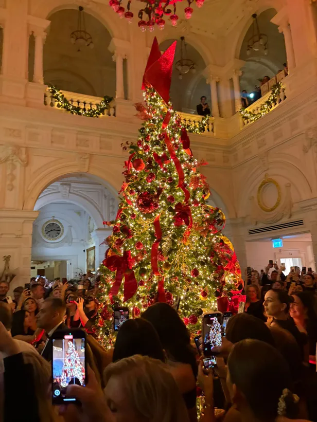 De schitterende Amstel kerstboom  