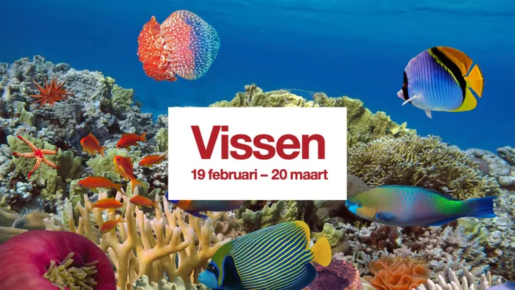 De Grote Elegance Jaarhoroscoop van de Vis