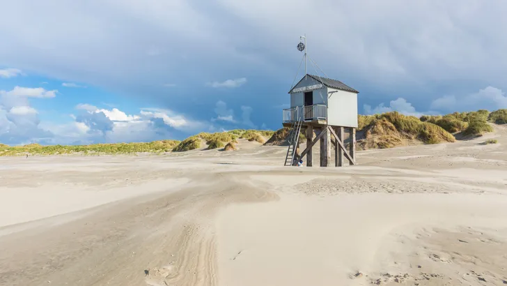Wadden