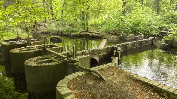 Wandelen en je verwonderen in het Waterloopbos