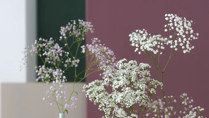 Ga op inner retreat met deze bloemen -en planten collectie