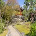 Botanische tuinen