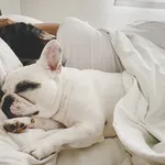 Woman sleeping with dog in bed