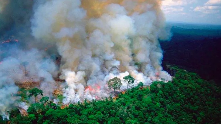 Ophef om 'fake foto’s' bij oproep branden Amazone
