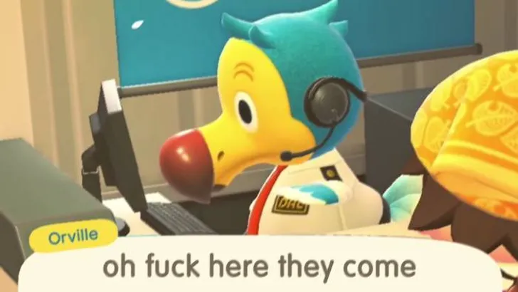 animal crossing orville