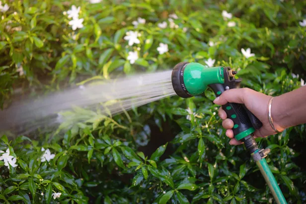 Water geven in de tuin
