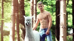 alpaca hunk