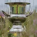 Trofee Ladies Open