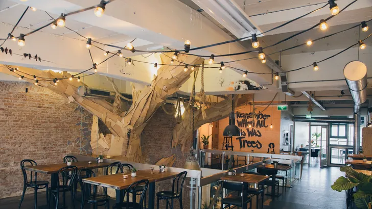 Hotspot van de week: Backyard