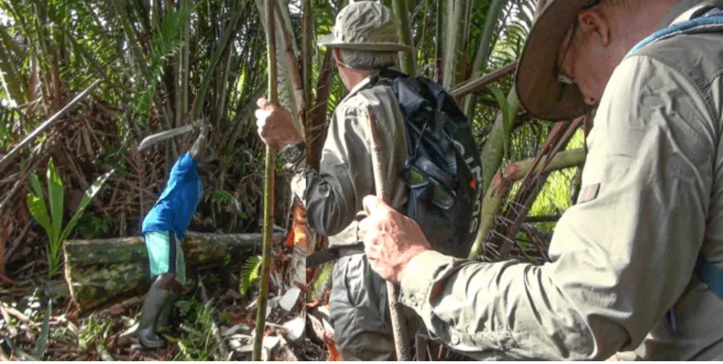 Met behulp van machetes wordt er een weg gebaand door de jungle.