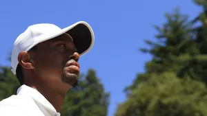 tiger woods