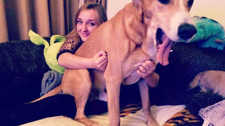honden