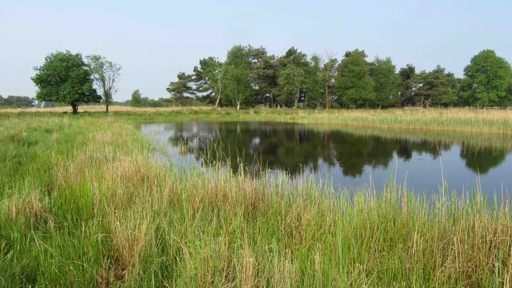 Delleboersterheide