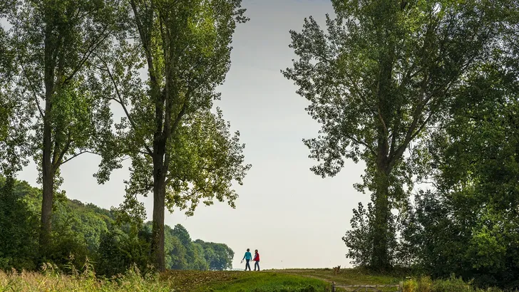 Ken je het Veluwe Zwerfpad al? 