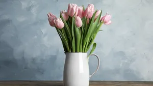 Tulpen slap