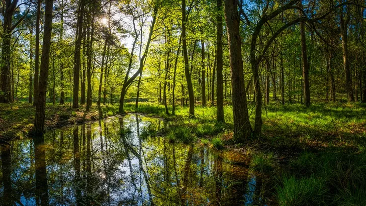 Hellingtrekken in het Rijk van Nijmegen