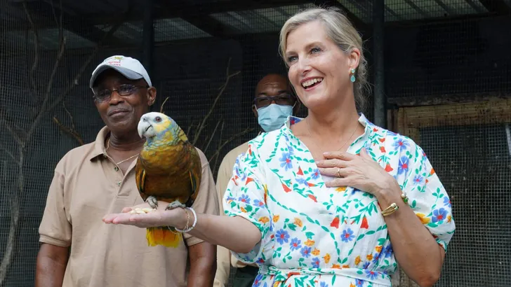 Earl and Countess of Wessex visit to the Caribbean