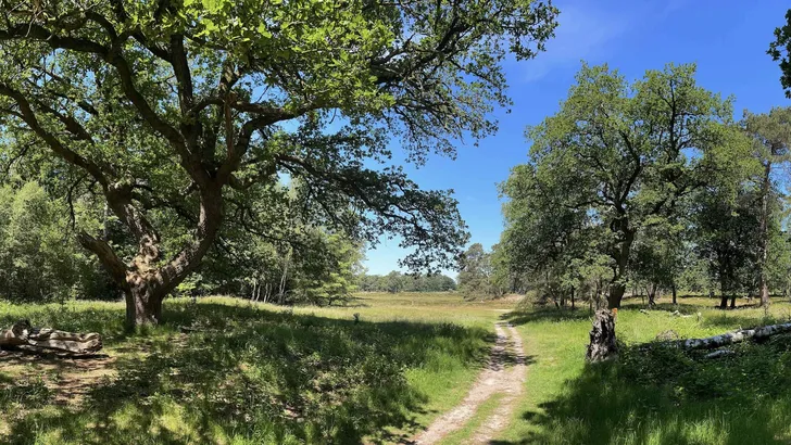 Fietsroute