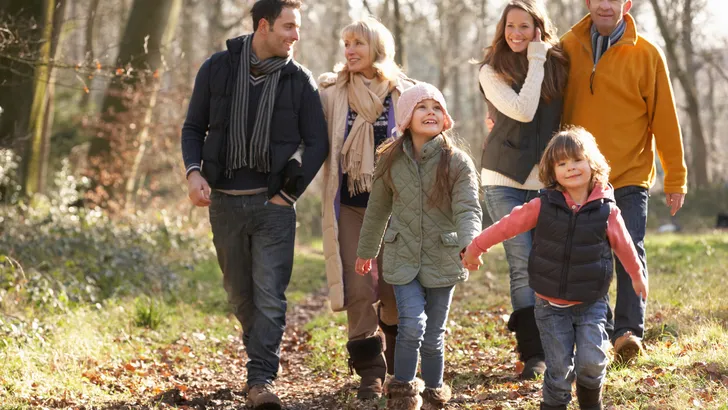 Familieopstellingen