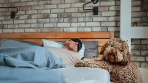 Dit zijn de risico's als je je huisdier bij je in bed laat slapen.