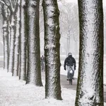 Geen geld voor winterbanden? Met een paar tiewraps maak je je eigen sneeuwkettingen voor je fiets