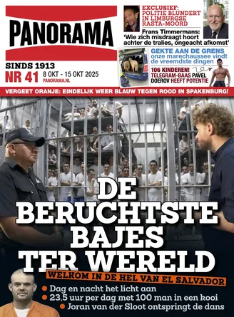 Cover Panorama: 41/2025