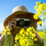 Woman taking picture from camera in mustard field