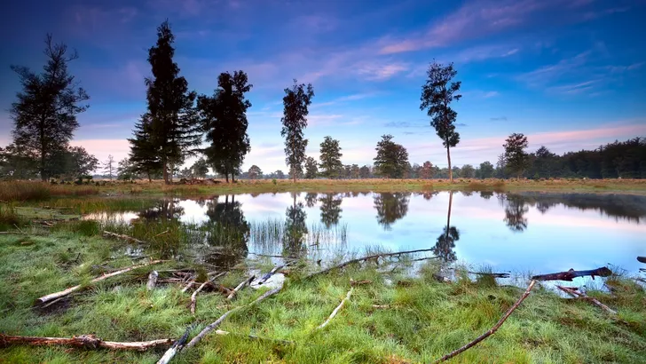 Wandelen in Drenthe