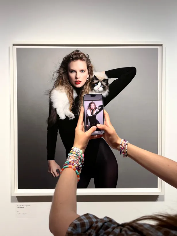 Het portret van Taylor Swift met haar kat Benjamin is te zien in Kunstmuseum Den Haag.