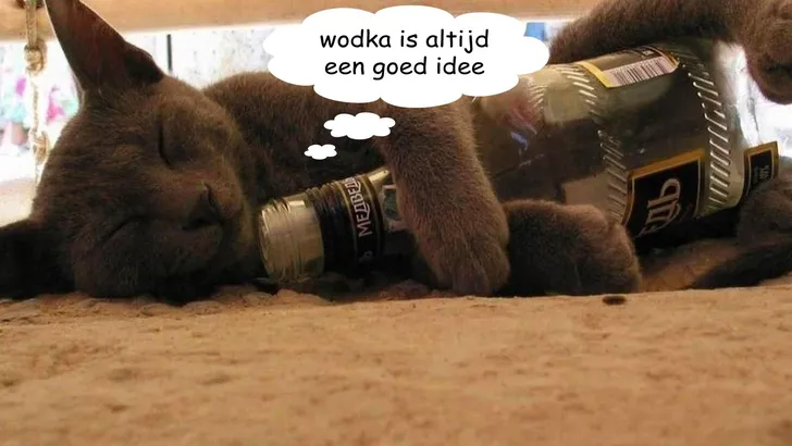 wodka
