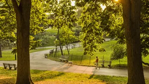 wandelen park 