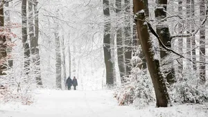 Korte winterwandelingen