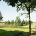 westwoud